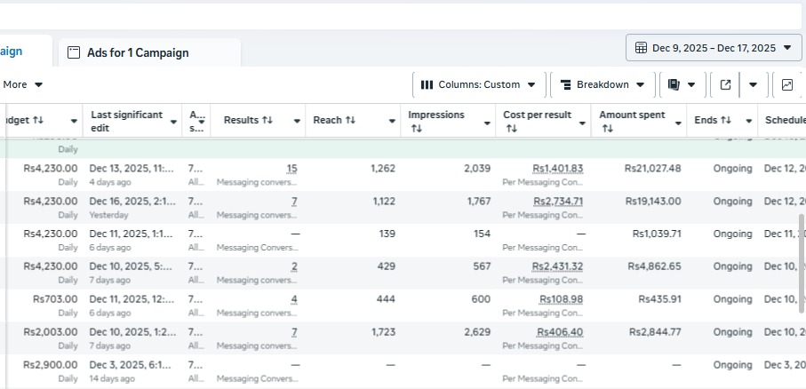 Meta Ads Manager Campaign Results